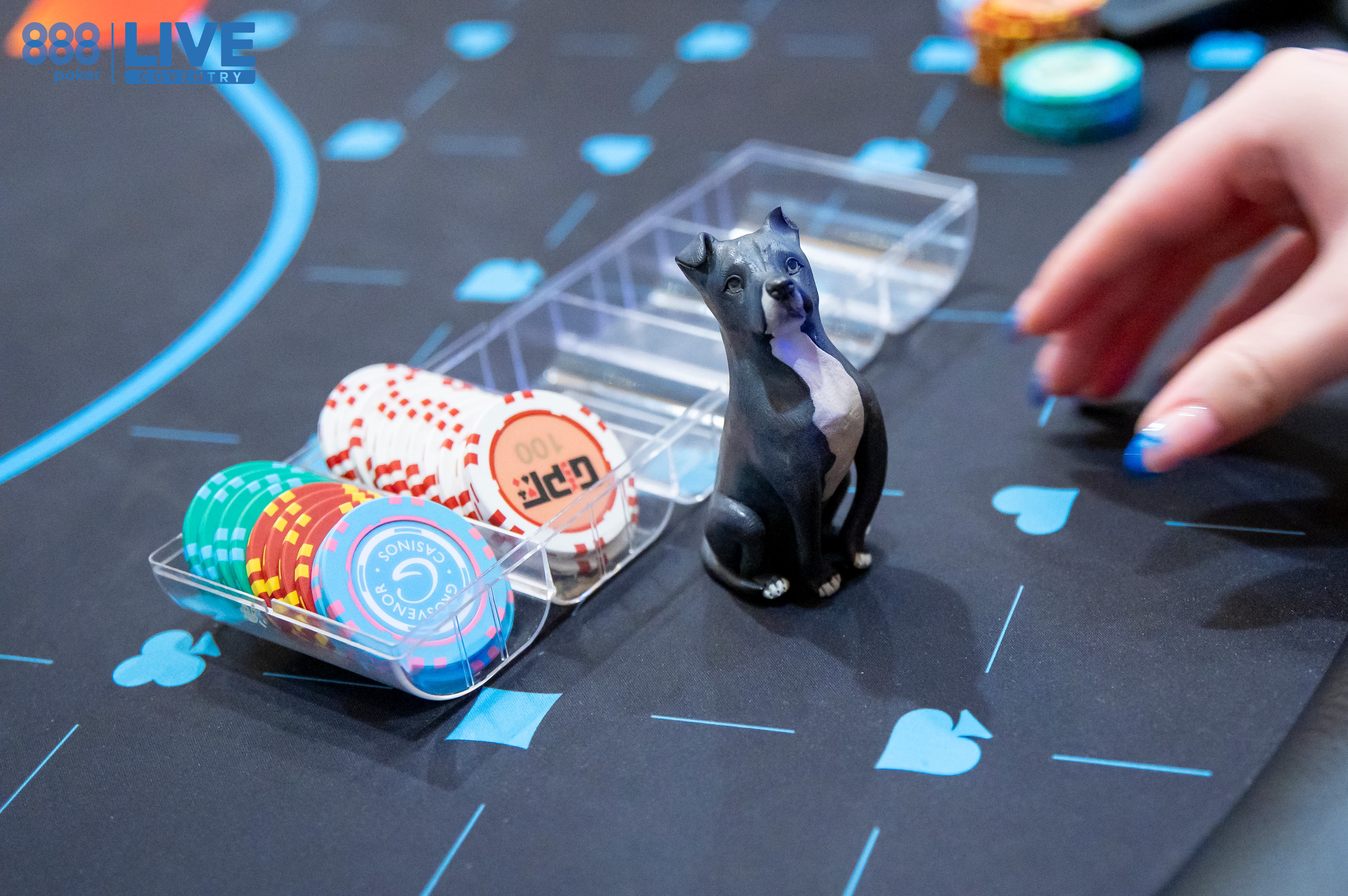 fichas de poker cão